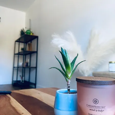 Apartment Le Repos Montchatois - Appartement Moderne